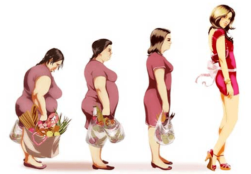 Lose weight without diet