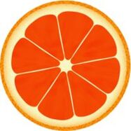 grapefruit for dukan diet